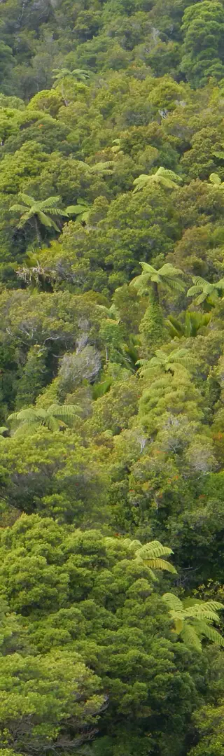 Fahrt entlang der Westküste